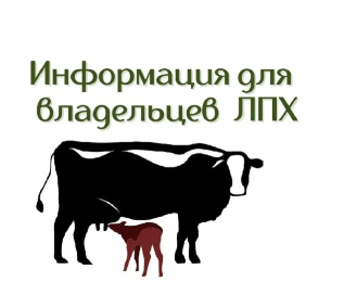 О полном и точном учете данных о личных подсобных хозяйствах (ЛПХ) нашего поселения