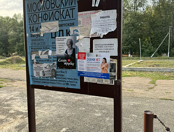 О легализации трудовых отношений
